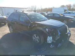 2T3P1RFV5KC031523 2019 TOYOTA RAV 4