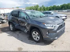 2T3P1RFV5KC049195 2019 TOYOTA RAV 4