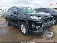 2T3P1RFV5KW043623 2019 TOYOTA RAV 4