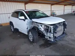2T3P1RFV5KW044464 2019 TOYOTA RAV 4