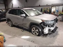 2T3P1RFV5KW061166 2019 TOYOTA RAV 4