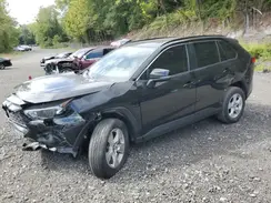 2T3P1RFV5KW063158 2019 TOYOTA RAV 4