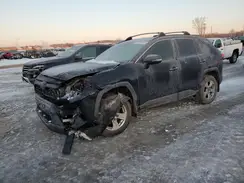 2T3P1RFV5LW137423 2020 TOYOTA RAV 4
