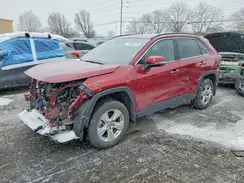 2T3P1RFV5MW232873 2021 TOYOTA RAV 4