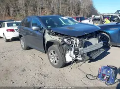 2T3P1RFV5NC300768 2022 TOYOTA RAV 4