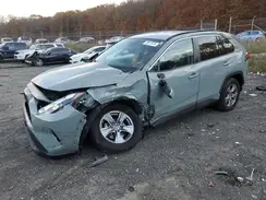 2T3P1RFV5NW320369 2022 TOYOTA RAV 4