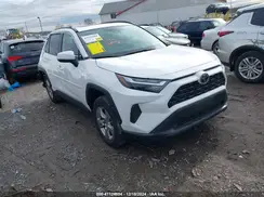 2T3P1RFV5PC335040 2023 TOYOTA RAV 4