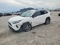2T3P1RFV5PC356115 2023 TOYOTA RAV 4