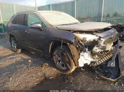 2T3P1RFV5PC365946 2023 TOYOTA RAV 4