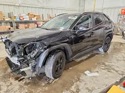 2T3P1RFV5PW376329 2023 TOYOTA RAV 4