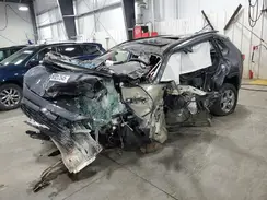 2T3P1RFV5PW395351 2023 TOYOTA RAV 4