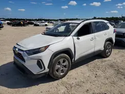 2T3P1RFV5RC4086XX 2024 TOYOTA RAV 4