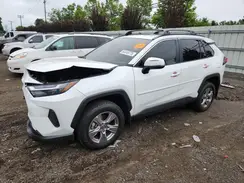 2T3P1RFV5RC431852 2024 TOYOTA RAV 4