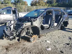 2T3P1RFV5RC443905 2024 TOYOTA RAV 4