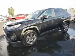 2T3P1RFV5RC454659 2024 TOYOTA RAV 4
