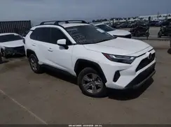2T3P1RFV5RC460767 2024 TOYOTA RAV 4