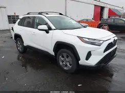 2T3P1RFV5RC479366 2024 TOYOTA RAV 4