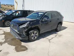 2T3P1RFV5RW431204 2024 TOYOTA RAV 4