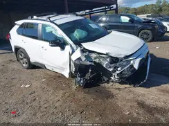 2T3P1RFV5RW440033 2024 TOYOTA RAV 4