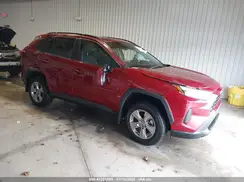 2T3P1RFV5RW446253 2024 TOYOTA RAV 4