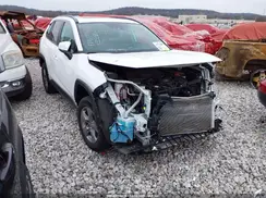 2T3P1RFV5RW449461 2024 TOYOTA RAV 4