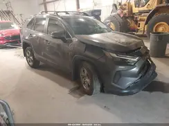 2T3P1RFV5SC519659 2025 TOYOTA RAV 4