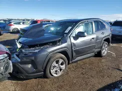 2T3P1RFV5SC526286 2025 TOYOTA RAV 4