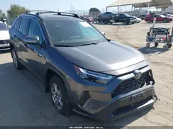 2T3P1RFV5SC528961 2025 TOYOTA RAV 4
