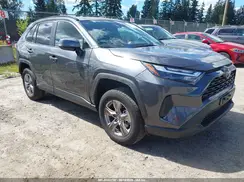 2T3P1RFV5SW554099 2025 TOYOTA RAV 4