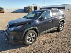 2T3P1RFV5SW555768 2025 TOYOTA RAV 4