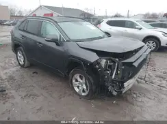 2T3P1RFV6KC038142 2019 TOYOTA RAV 4