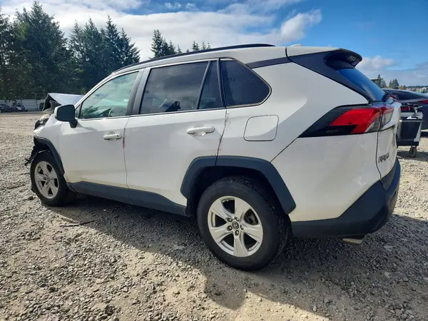 2T3P1RFV6KW033358 2019 TOYOTA RAV 4 - Image 2
