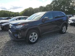 2T3P1RFV6KW059264 2019 TOYOTA RAV 4