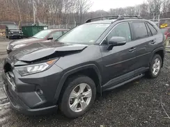 2T3P1RFV6MC239901 2021 TOYOTA RAV 4