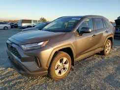 2T3P1RFV6PC355555 2023 TOYOTA RAV 4