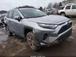 2T3P1RFV6PC366345 2023 TOYOTA RAV 4