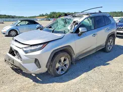 2T3P1RFV6PC370816 2023 TOYOTA RAV 4