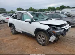 2T3P1RFV6PW331318 2023 TOYOTA RAV 4