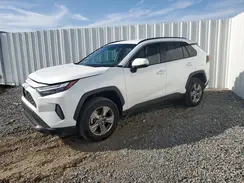 2T3P1RFV6PW342495 2023 TOYOTA RAV 4