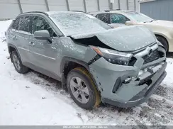 2T3P1RFV6PW349494 2023 TOYOTA RAV 4