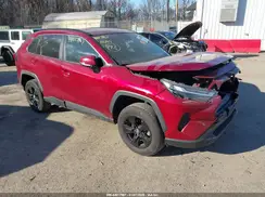 2T3P1RFV6PW365422 2023 TOYOTA RAV 4