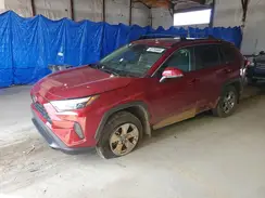 2T3P1RFV6PW388098 2023 TOYOTA RAV 4
