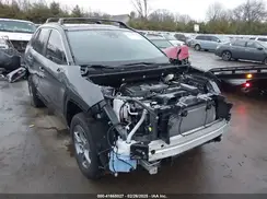 2T3P1RFV6RC394942 2024 TOYOTA RAV 4