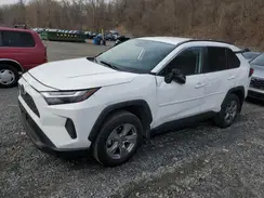 2T3P1RFV6RC394956 2024 TOYOTA RAV 4