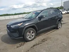 2T3P1RFV6RC445405 2024 TOYOTA RAV 4