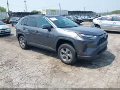 2T3P1RFV6RC467534 2024 TOYOTA RAV 4