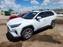 2T3P1RFV6RC489131 2024 TOYOTA RAV 4