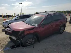 2T3P1RFV6RW444897 2024 TOYOTA RAV 4