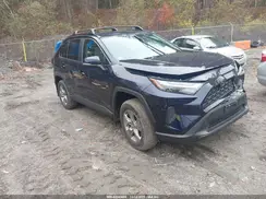 2T3P1RFV6RW456273 2024 TOYOTA RAV 4