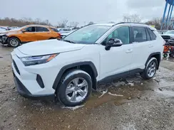 2T3P1RFV6RW456564 2024 TOYOTA RAV 4